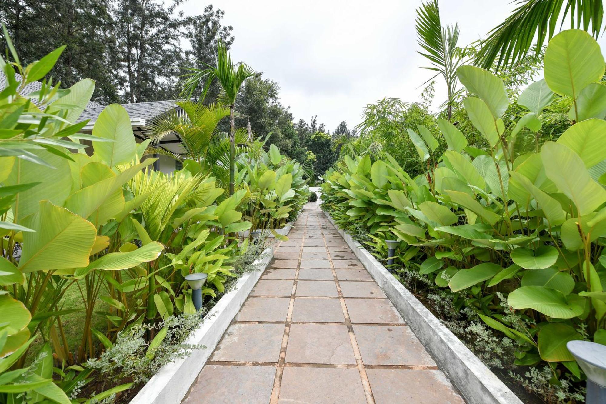 Inventree Aranya Resort & Spa Madikeri Exteriér fotografie